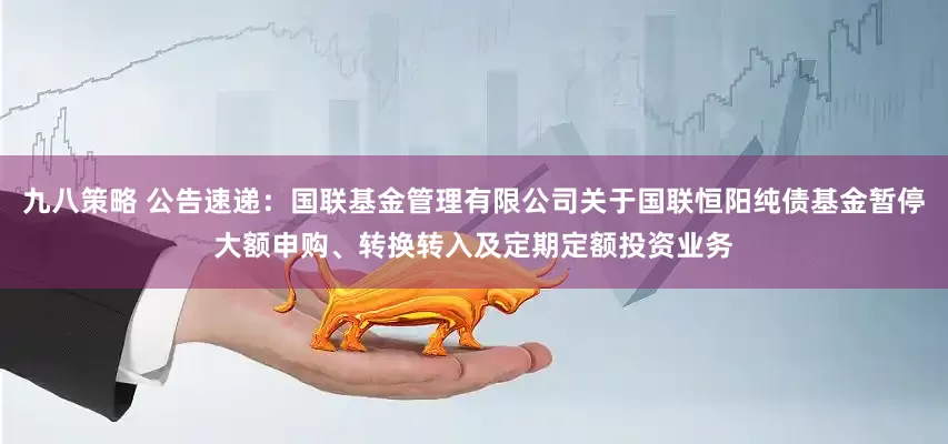 九八策略 公告速递：国联基金管理有限公司关于国联恒阳纯债基金暂停大额申购、转换转入及定期定额投资业务